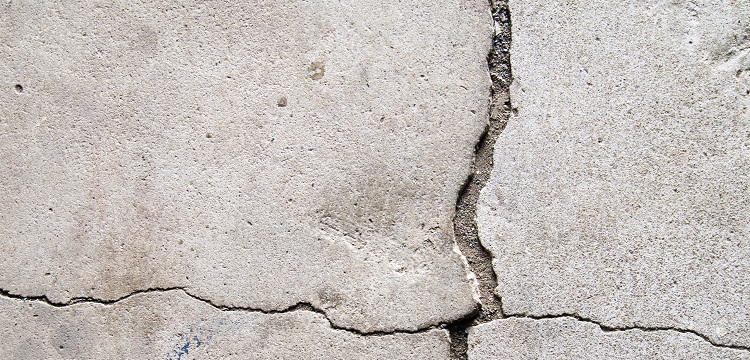 腐乳檢測-中國食品檢驗中心