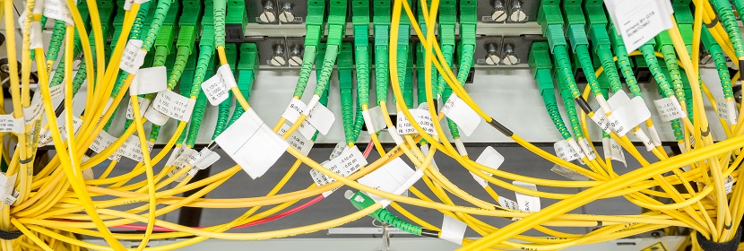 公共衛(wèi)生考研，這是最好的時期?。?！?【2022為民實事系列評論】筑牢公共衛(wèi)生防護(hù)網(wǎng)，是須臾不可放松的大事 健明迪檢測