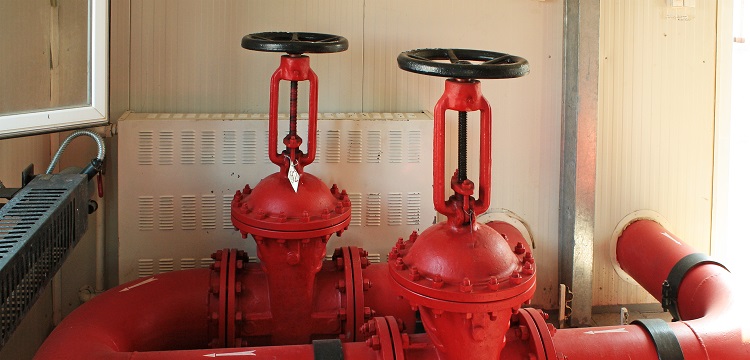 微生物安全健康網，微生物檢測如何規范操作 ?在微生物檢測實踐中，什么時候需要檢測參考菌群 參考菌群的檢測有何意義 ?健明迪